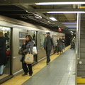 DSC_9429a.jpg