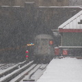 DSC_0203a.jpg