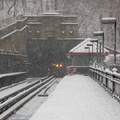 DSC_0205a.jpg