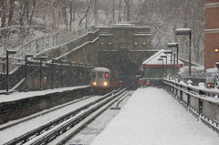 DSC_0207.jpg