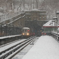 DSC_0207.jpg