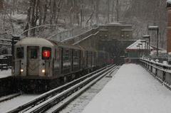 DSC_0210.jpg