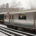 DSC_0213.jpg