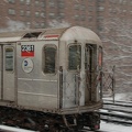DSC_0293.jpg