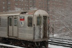 DSC_0293.jpg