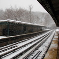 DSC_0304.jpg