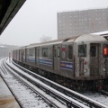 DSC_0329a.jpg