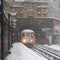 DSC_0364a.jpg