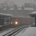 DSC_0381.jpg
