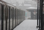 DSC_0416a.jpg
