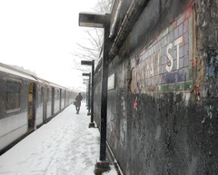 DSC_0422a.jpg