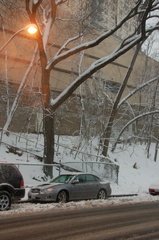 DSC_0426_800.jpg