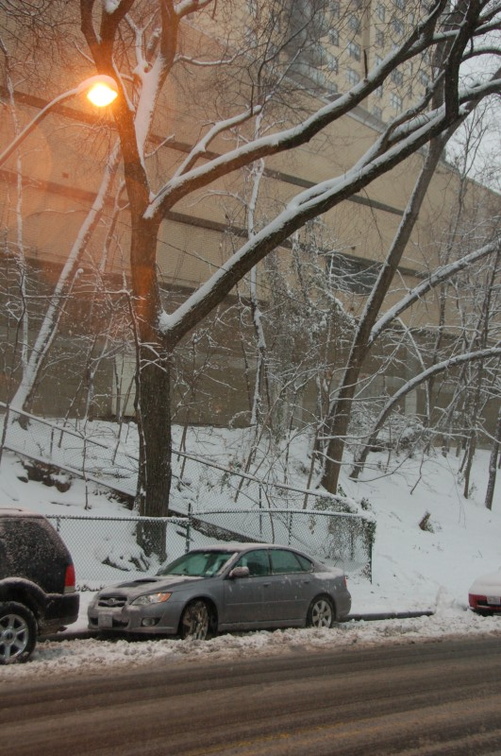 DSC_0426_800.jpg