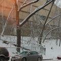 DSC_0426_800.jpg