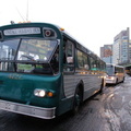 DSC_0595f.jpg