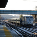 DSC_0657a.jpg