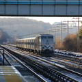 DSC_0660a.jpg