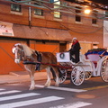 DSC_1902a.jpg
