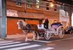 DSC_1902a.jpg