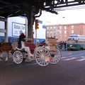 DSC_1918f.jpg