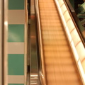 DSC_1945a_800.jpg
