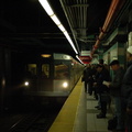 DSC_1950af.jpg