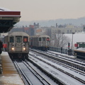 DSC_2960a.jpg