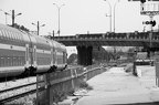 DSC_5653bw.jpg