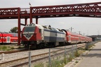 DSC_5654a.jpg