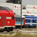 DSC_5664a.jpg
