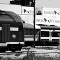 DSC_5664abw.jpg