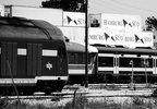 DSC_5664abw.jpg