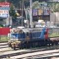 DSC_5811a.jpg