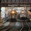 DSC_7193a.jpg