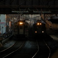 DSC_7195f.JPG