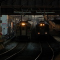 DSC_7195fa.jpg