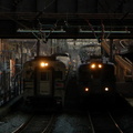 DSC_7195fb.jpg