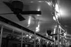 DSC_7332bwf