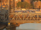 DSC_7891a.jpg