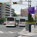 DSC_7944a.jpg