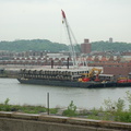 DSC_7959.jpg