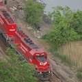 DSC_8442.jpg