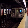 DSC_8509a.jpg