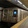 DSC_8558a.jpg