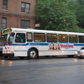 DSC_8591.jpg