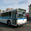 DSC_8754a.jpg