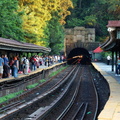 DSC_8910a.jpg