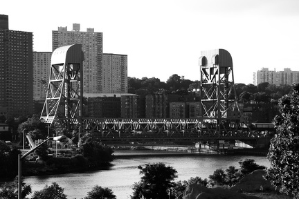 DSC_9010bw.jpg