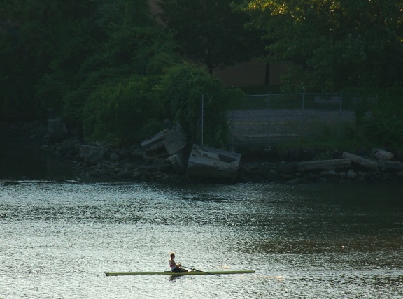 DSC_9021a.jpg