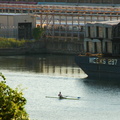DSC_9039a.jpg